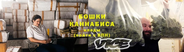 гидропоника Бородино