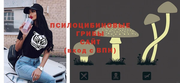 гидропоника Бородино